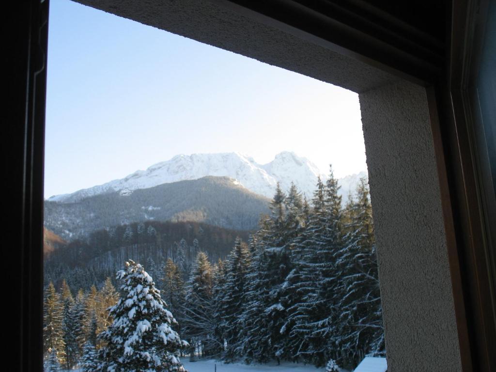 Willa Otulina Pod Giewontem Zakopane Habitación foto