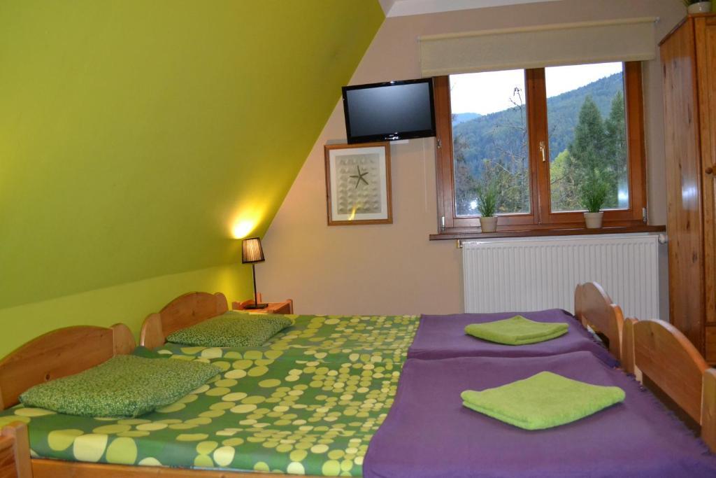 Willa Otulina Pod Giewontem Zakopane Habitación foto